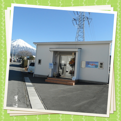 静岡県富士宮市のインコとオウムだけのペットショップです♪