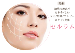 セルラムとは