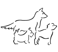 Schwarz-weiße Linienzeichnung von drei Hunden in verschiedenen Größen, die nebeneinander stehen.