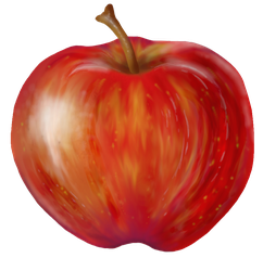 Bild 4: Apfel