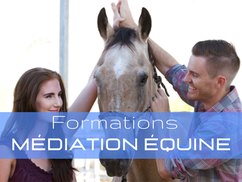 ellipsy-thérapie-brève-formations-médiation-équine