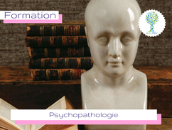 ellipsy-praticien-relation-aide-module-psychopathologie