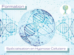 ellipsy-formation-psychopraticien-cycle-3-hypnose-cellulaire