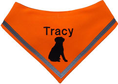 Leuchttuch, Reflektor, Hundehalstuch reflektierend, leuchtend, neonorange, Pfoten, bestickt, Labrador