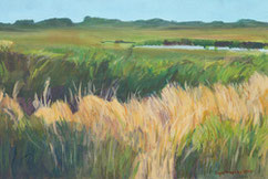 Kunstblog Hamburg Kunst Blog, Ausstellung in Hamburg Poppenbüttel, Stormanrnplatz 2, 22393 Hamburg, Kunstmaler Enno Franzius Kunst kaufen im Internet. Wiesen Zingst Malerei in Acryl.