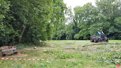 Coupe de régénération à Vélizy-Villacoublay.