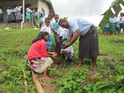 Students plant trees in cooperation with teacher.