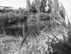 Photo: Gee Vero