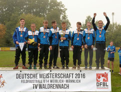 Weiterer großartiger Erfolg für den Faustball-Nachwuchs des Turnvereins Hohenklingen. v.l.n.r. Dominique Poppeck, Maik Wilde, Jona Nöding, Fabian Gerst, Adrian DeLacasse, Luis Grulke, Marcel Krauß und Galdric Knäbe. Foro: privat