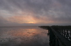 Morgenstimmung am Federsee (Bild: Sabine Häring)
