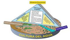 Enfoques
