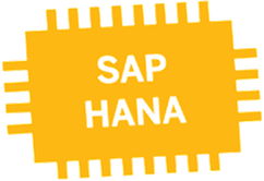 SAP Hana ERP haute performance pour SAP Business One, technologie Big Data In-memory