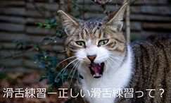 滑舌練習