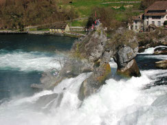 Sehenswürdigkeiten Rheinfall: Rheinfall mit Fels mitten im Fluss
