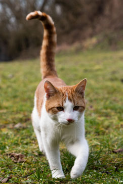 Foto: Doris Blovsky
