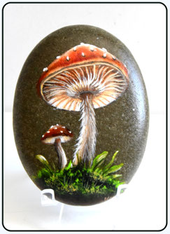 Fotoboek Rock-Art overig