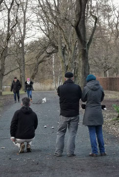 Tierische Begegnungen im Bürgerpark: Schwein trifft Hund 