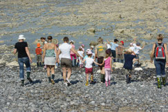 sortie scolaires par Doc nature dans la Somme