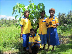CFP Papua New Guinea 2012