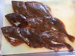 マガレイ　高級魚　出前