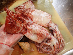 ドスイカ　高級寿司　出前