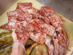 柔らかくて美味しいイカです。ドスイカといいます！