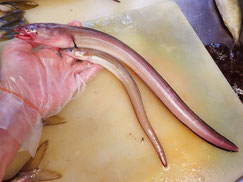 ギンアナゴ　高級寿司　出前