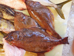 マガレイ　高級魚　出前