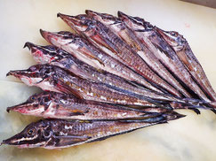 ハッカク　羅臼　高級魚