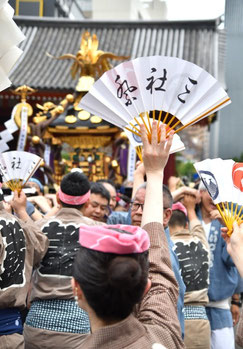 <三社祭> Snj19_032 ©️折野さん