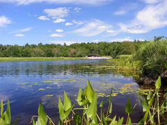 See in Haus am See in Canada, Nova Scotia, präsentiert von VERDE Immobilien