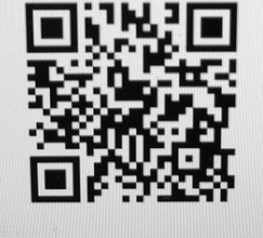 QR Code zum Paddelt: Else Lasker- Schüler