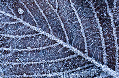 Ice & snow