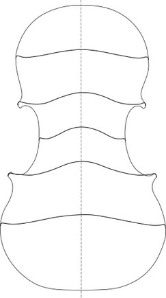 Amati arching curves