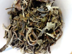 Thé Yunnan blanc Kancha