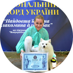 Japanese Spitz Simba, національний рекорд України, володарі, 2021, Україна, японський шпіц Сімба, Юлія Стріжкіна, Найдовша їстівна лакомина для собак