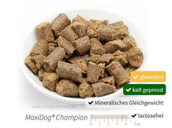 Hundefutter MaxiDog Champion von Reico, jetzt noch besser, glutenfrei, kalt gepresst, Mineralisches Gleichgewicht, lactosefrei.