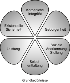 Fit-Prinzip: Darstellung Grundbedürfnisse