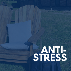 Anti-Stress-Workshop: Sie suchen Strategien und Praktiken, um dem Stress zu entkommen?