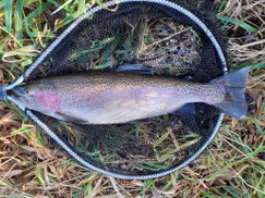 Remember november! Trout fishing as it´s best. "big smile for a while."
