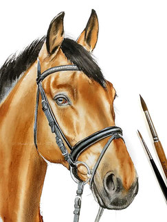 Pferd Aquarell Portrait malen lassen nach Foto - Aquarellportrait