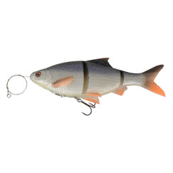 Bild Savage Gear 3D Roach