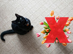 Foto: iStock