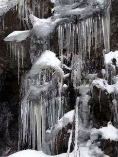 Stalactites, Massif des Vosges (photo Ugo)