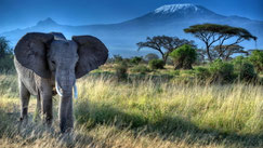 Kenya Vacanze