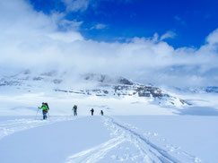 Huge glacier