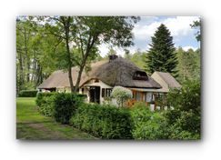 Vereinshaus mit Reetdach im Sommer