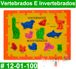 Vertebrados e Invertebrados Rompe Cabezas Foamy Intquietoys