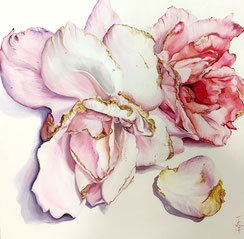 Roses roses 80x80 huile Joëlle Poret