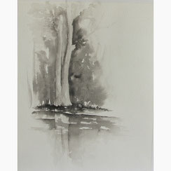 Etude des arbres au bord des douves - Encre - Joelle Poret